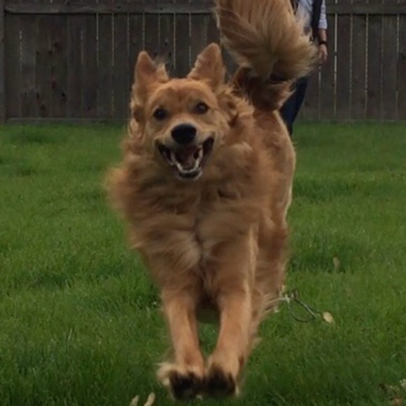 Meet your Posher, Amy - Picture 1 of 1